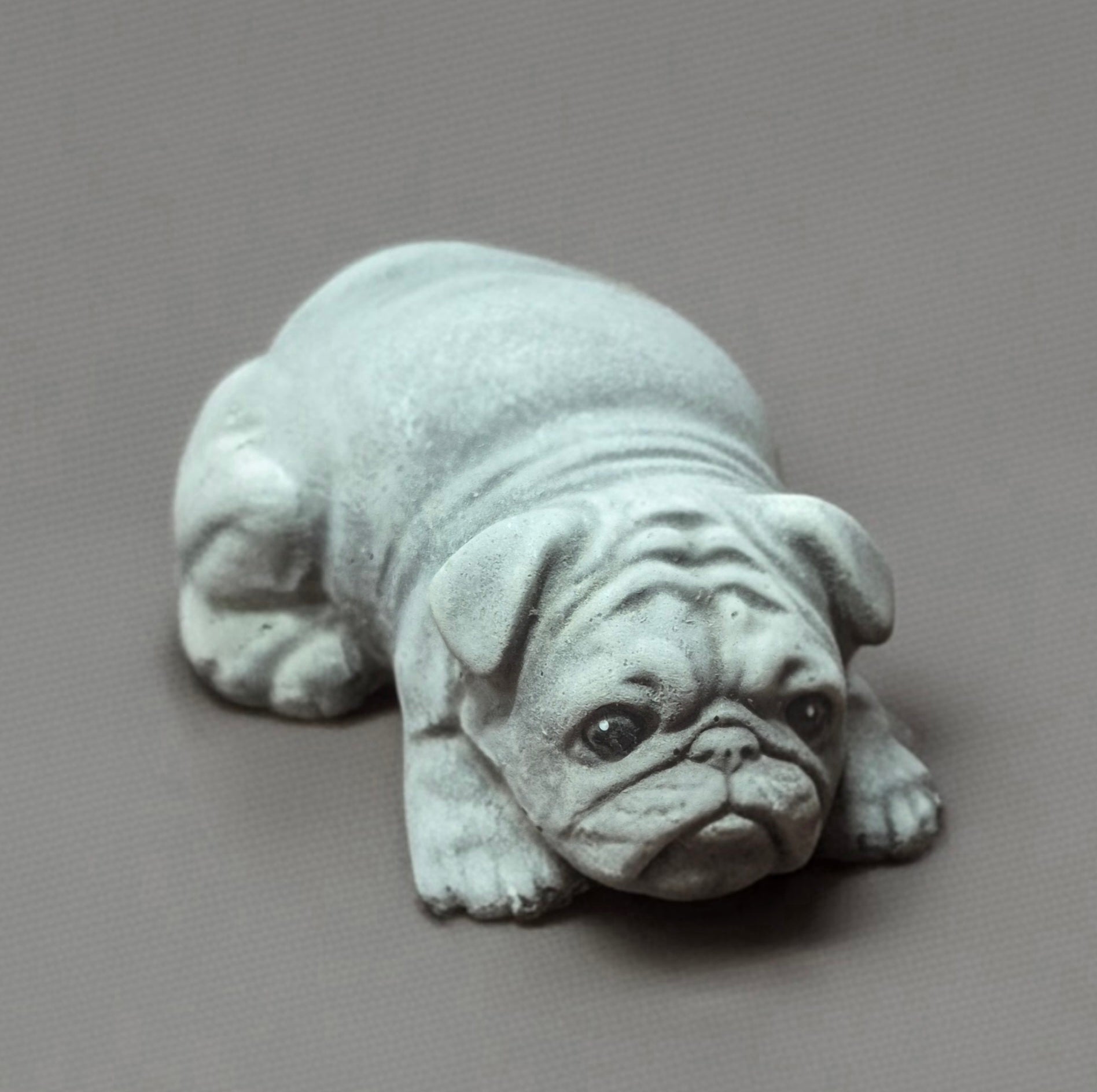 Pug - lay down